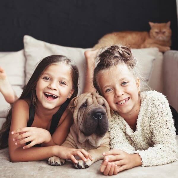 Две усмихнати деца лежат на диван с набръчкано куче между тях, а котка е кацнала на заден план до Парочистачка STEAM MOP 10 в 1.