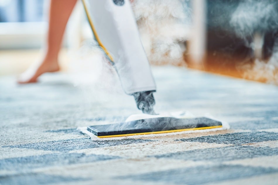 picture of steam cleaner over floor or carpet 2026 01 06 10 15 06 utc